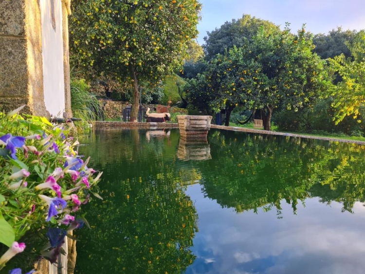 São Pedro de Vir-a-Corça b&b in Monsanto