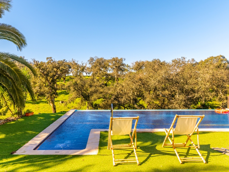 Relaxing area surrounded by nature