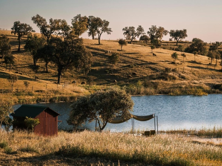 Cucumbi boutique b&b and apartments in alentejo Costa vicentina