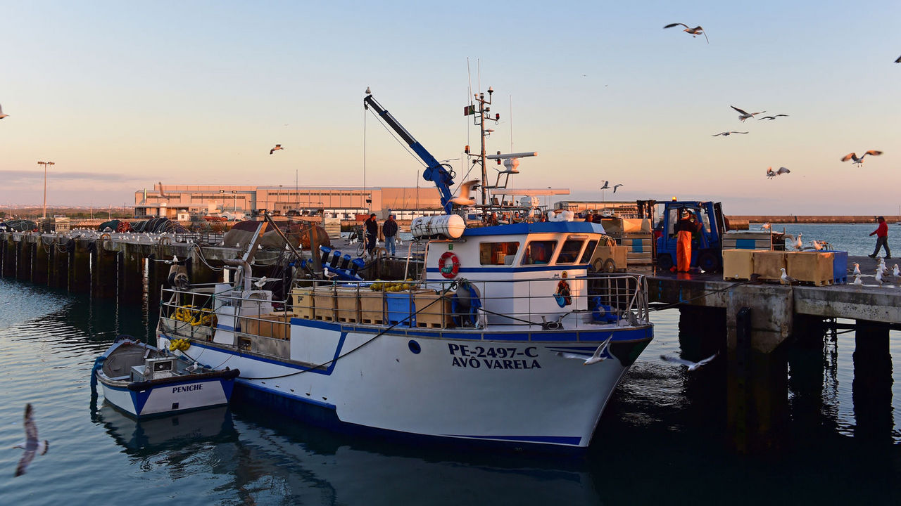 Hotéis boutique Peniche, hotéis de luxo e casas de férias Peniche