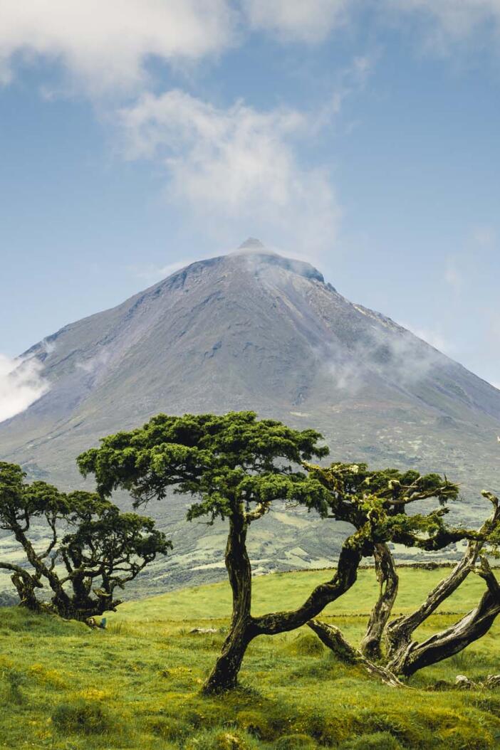 Açores